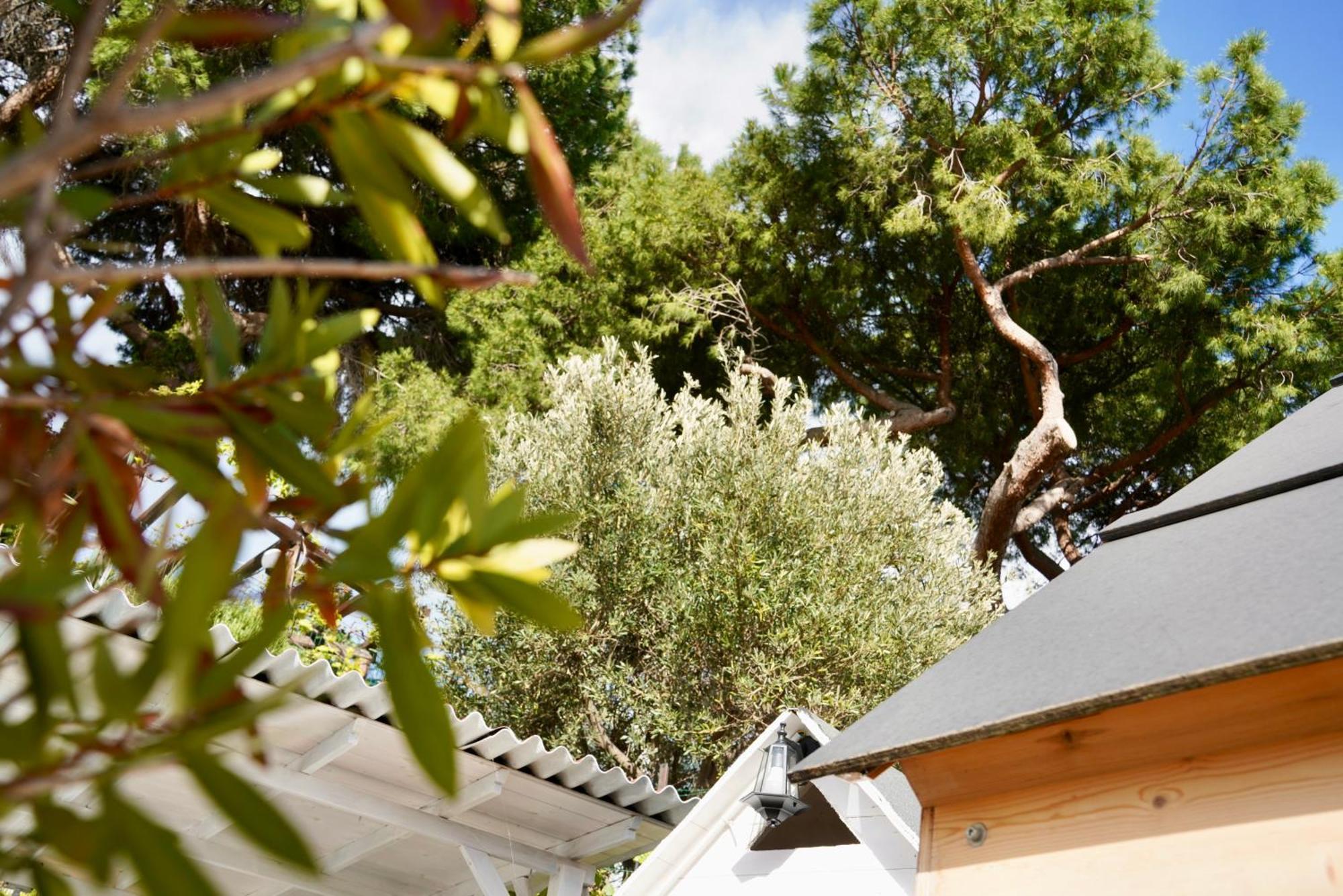 Starsbox Jacuzzi Privata E Piscina Vista Mare Celle Ligure