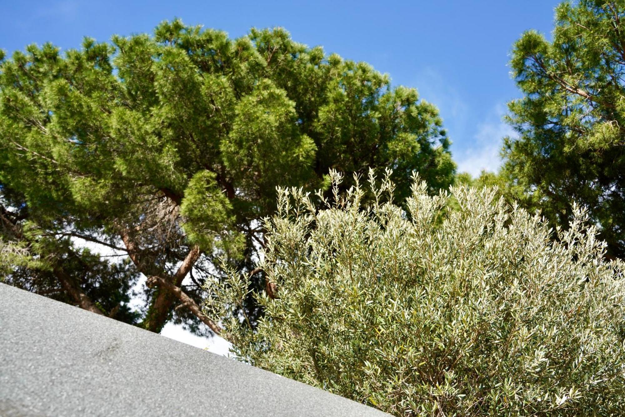 Luxury tent Starsbox Jacuzzi Privata E Piscina Vista Mare Celle Ligure